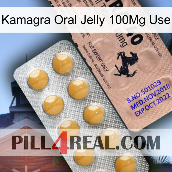 Kamagra Oral Jelly 100Mg Use 41.jpg